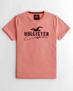 Áo Hollister thêu Logo Embroidered