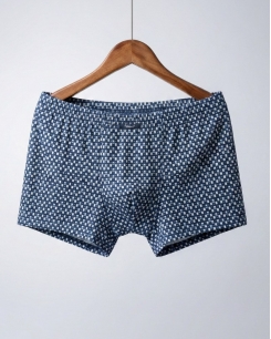 Quần Lót Nam Boxer Triumph Premium