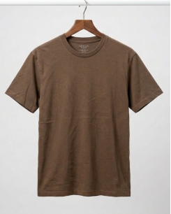 Áo Thun Nam American Eagle Standard Fit – Màu Nâu Đất