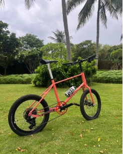 Xe đạp 20 inches SanSan - Cá Hồi