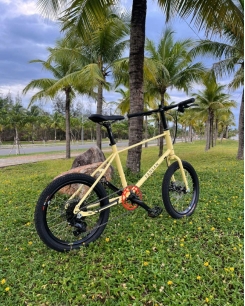 Xe đạp 20 inches SanSan - Vàng Nhạt