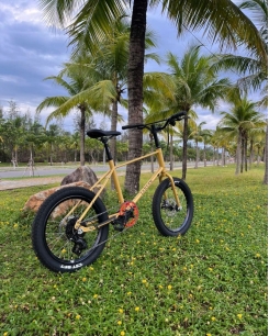 Bike Rental - Sansan Gold