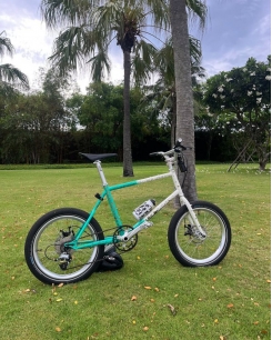 Xe Đạp Mini Velo 20 Inches - Trắng Xanh