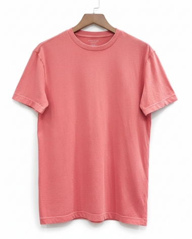 Áo Thun Nam American Eagle Trơn Đỏ Cam Standard Fit