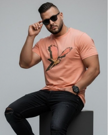 Áo Thun Nam American Eagle Standard Fit