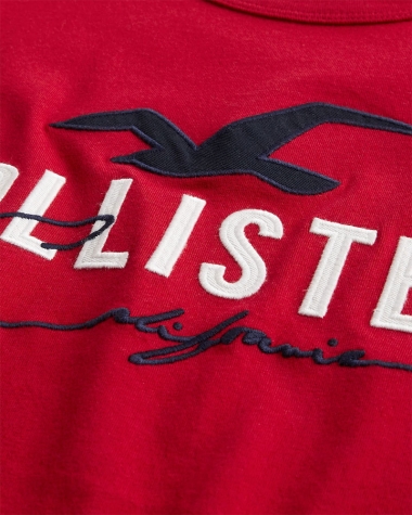 Áo Hollister Applique Logo mặt trước