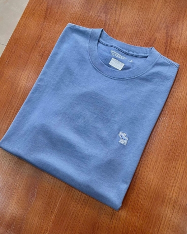 Áo thun Abercrombie màu Pale blue