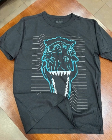 Áo Thun The Children's Place "Vua Khủng Long"