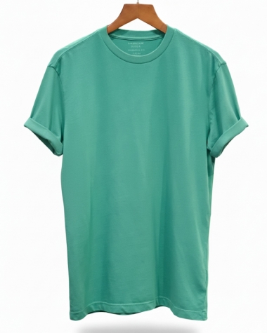 Áo Thun Nam American Eagle Trơn Xanh Vịt Standard Fit