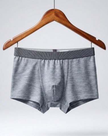 Quần Lót Nam Boxer Triumph Active Cool - Màu Xám