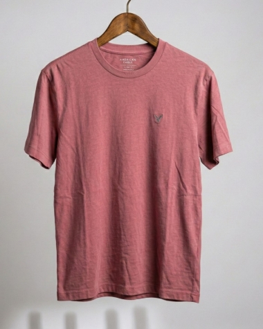 Áo Thun Nam American Eagle màu đỏ gạch