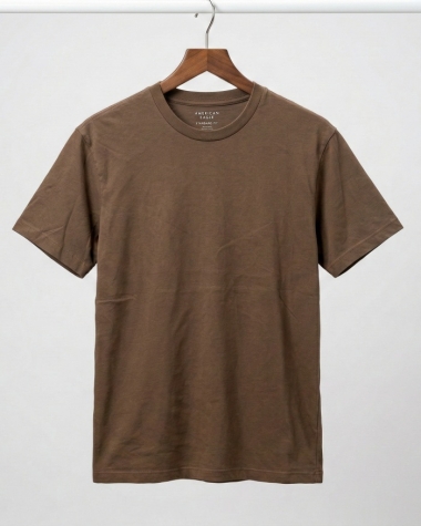 Áo Thun Nam American Eagle Standard Fit – Màu Nâu Đất