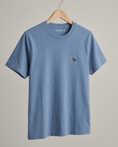 Áo thun nam Abercrombie & Fitch Slim Polished