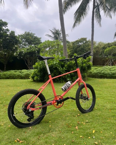 Xe đạp 20 inches SanSan - Cá Hồi