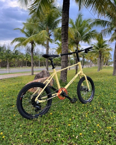Xe đạp 20 inches SanSan - Vàng Nhạt
