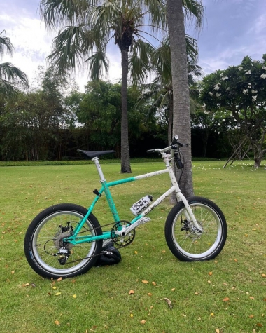 Xe Đạp Mini Velo 20 Inches - Trắng Xanh